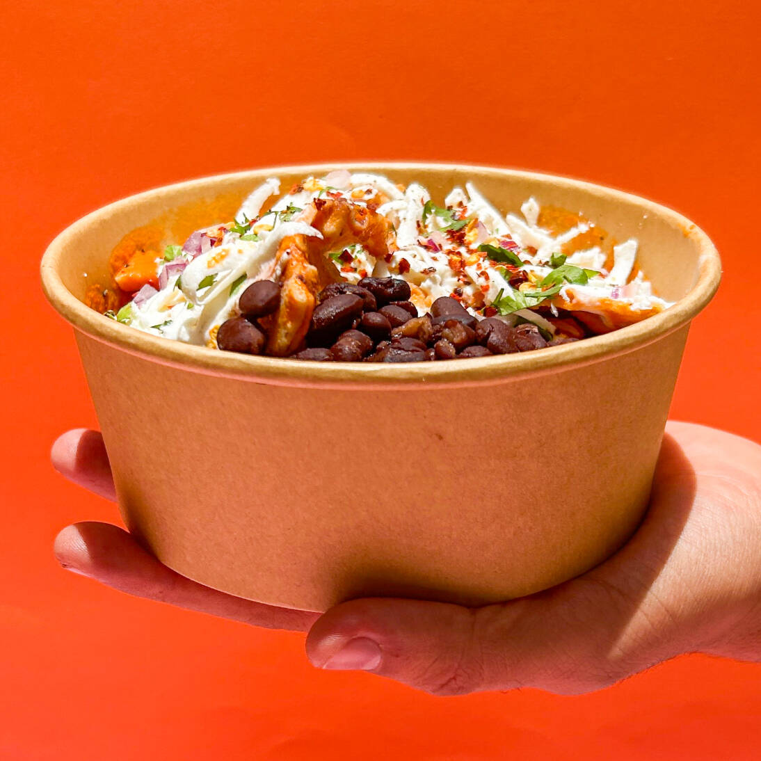 Chilaquiles Enchipotlados con Pollo