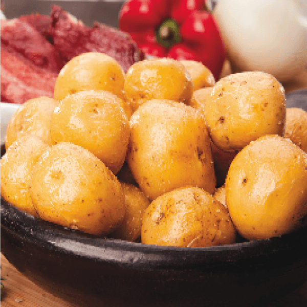 Papas Criollas
