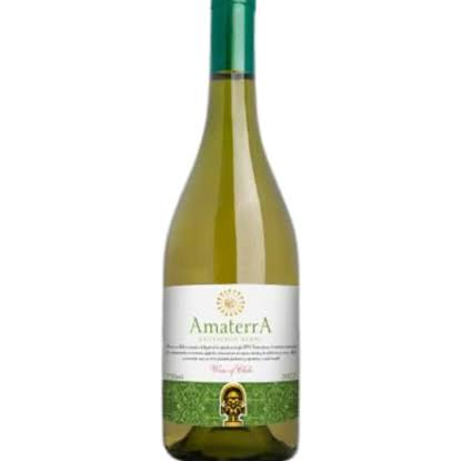 Chille/Valle Central - 750 ml