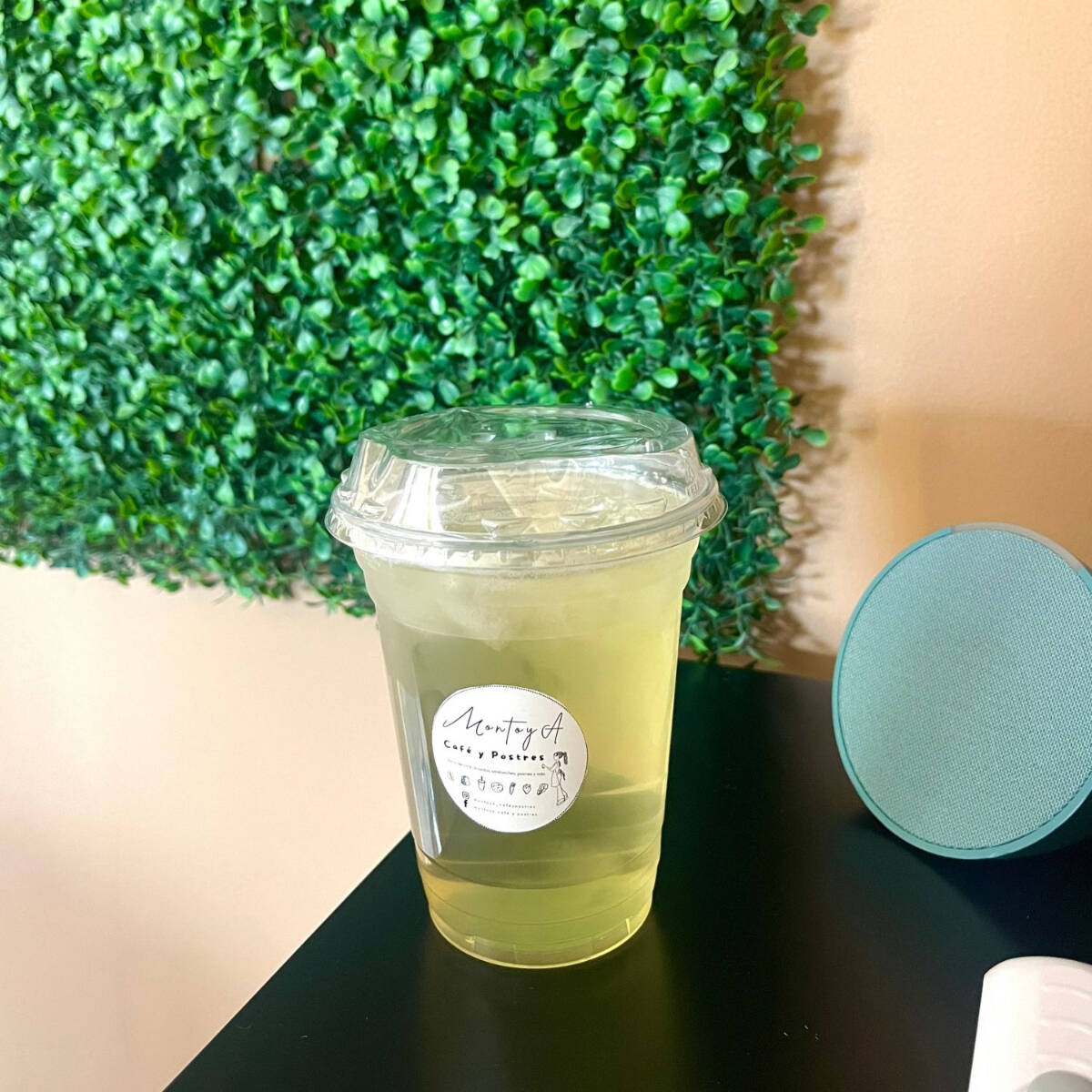 Té Verde, 16 Oz