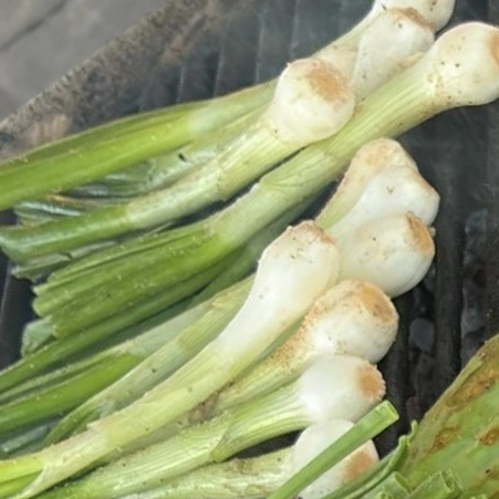 CEBOLLITAS CAMBRAY PZ