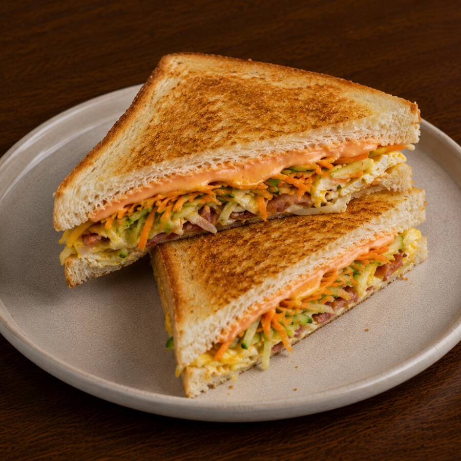 SANDWICH DIARIO
