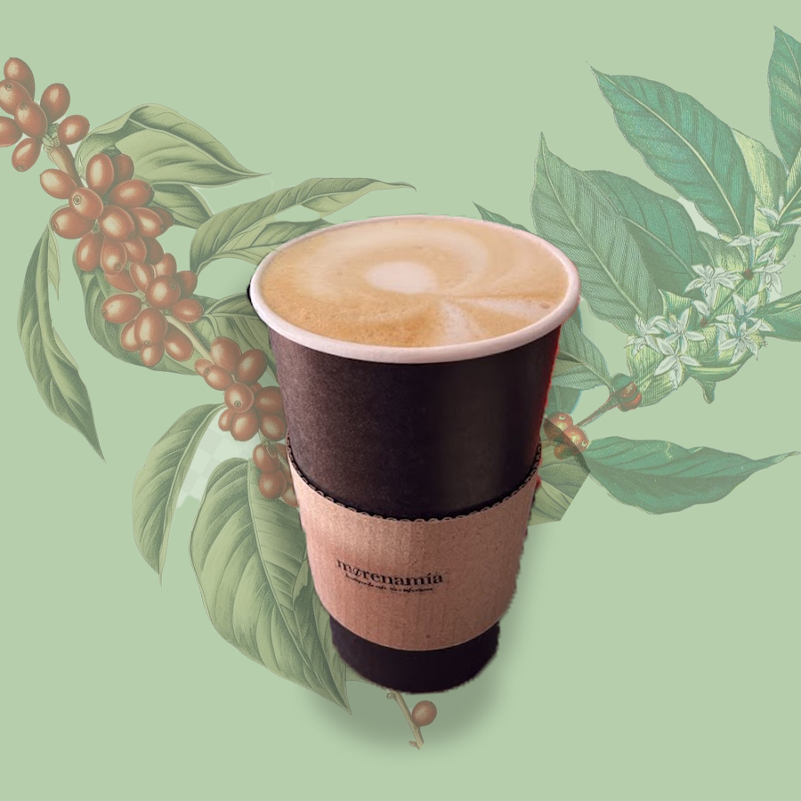 Latte Vainilla
