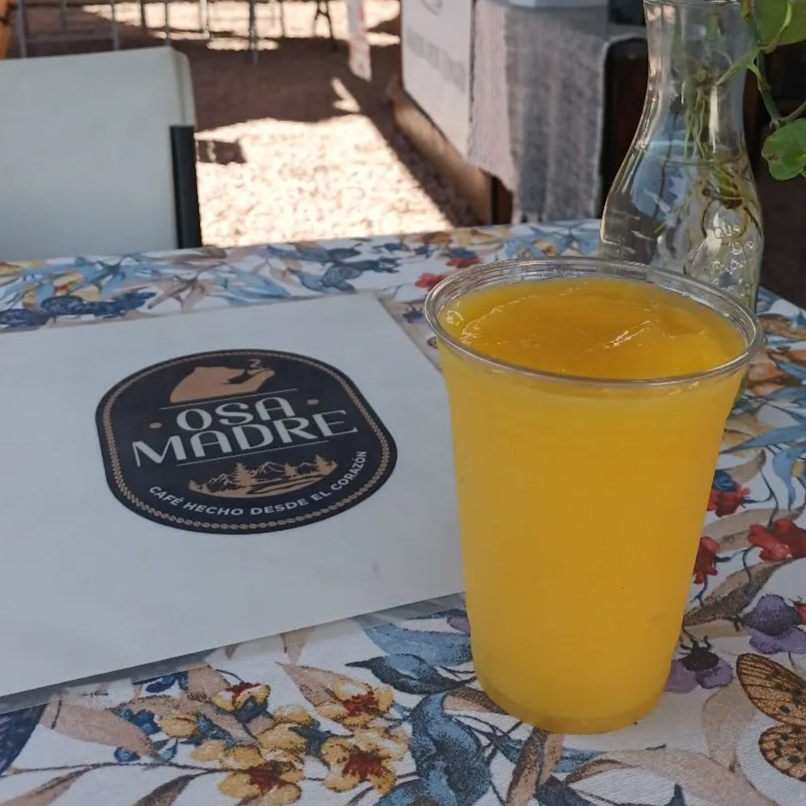 Batido de Fruta Base Agua