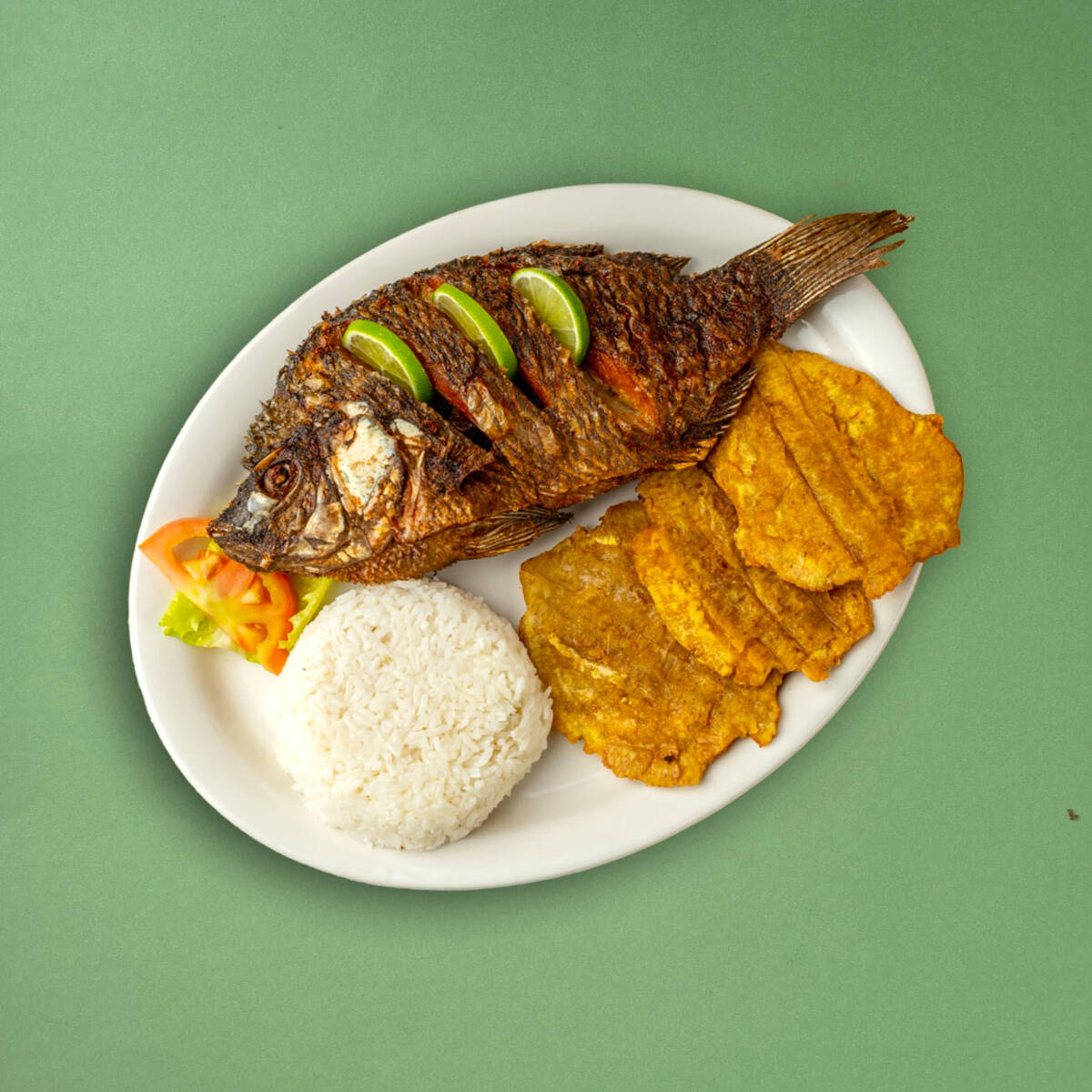 Bowl Mojarra Playera