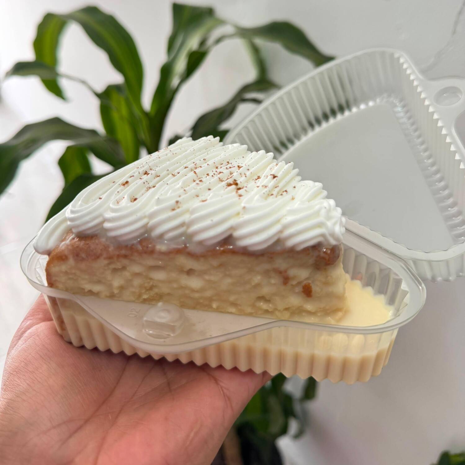 Tres Leches