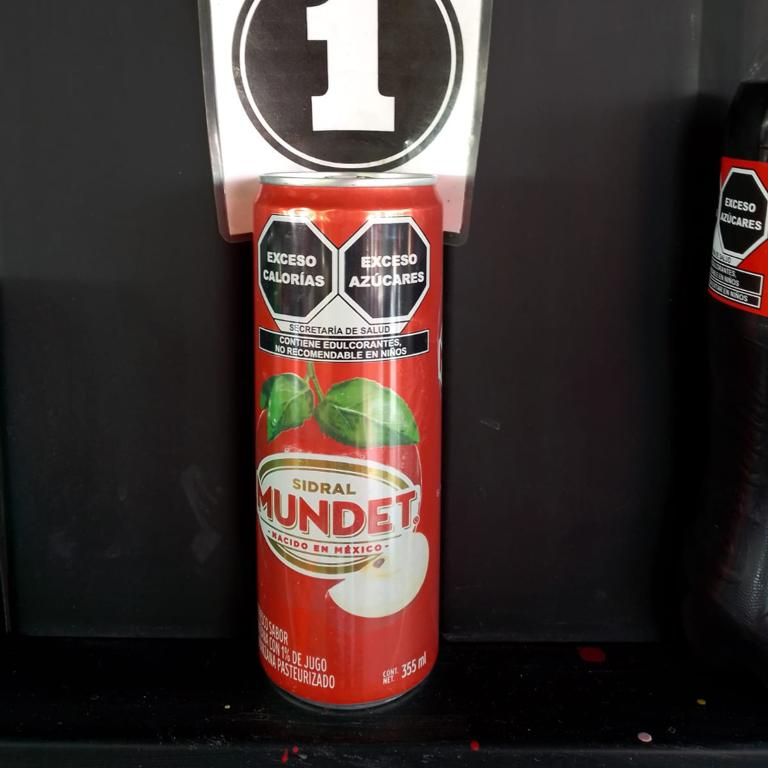 Sidral Mundet lata