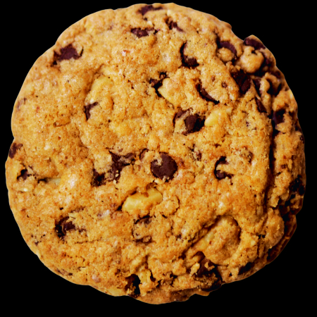 GALLETA DE CHISPAS