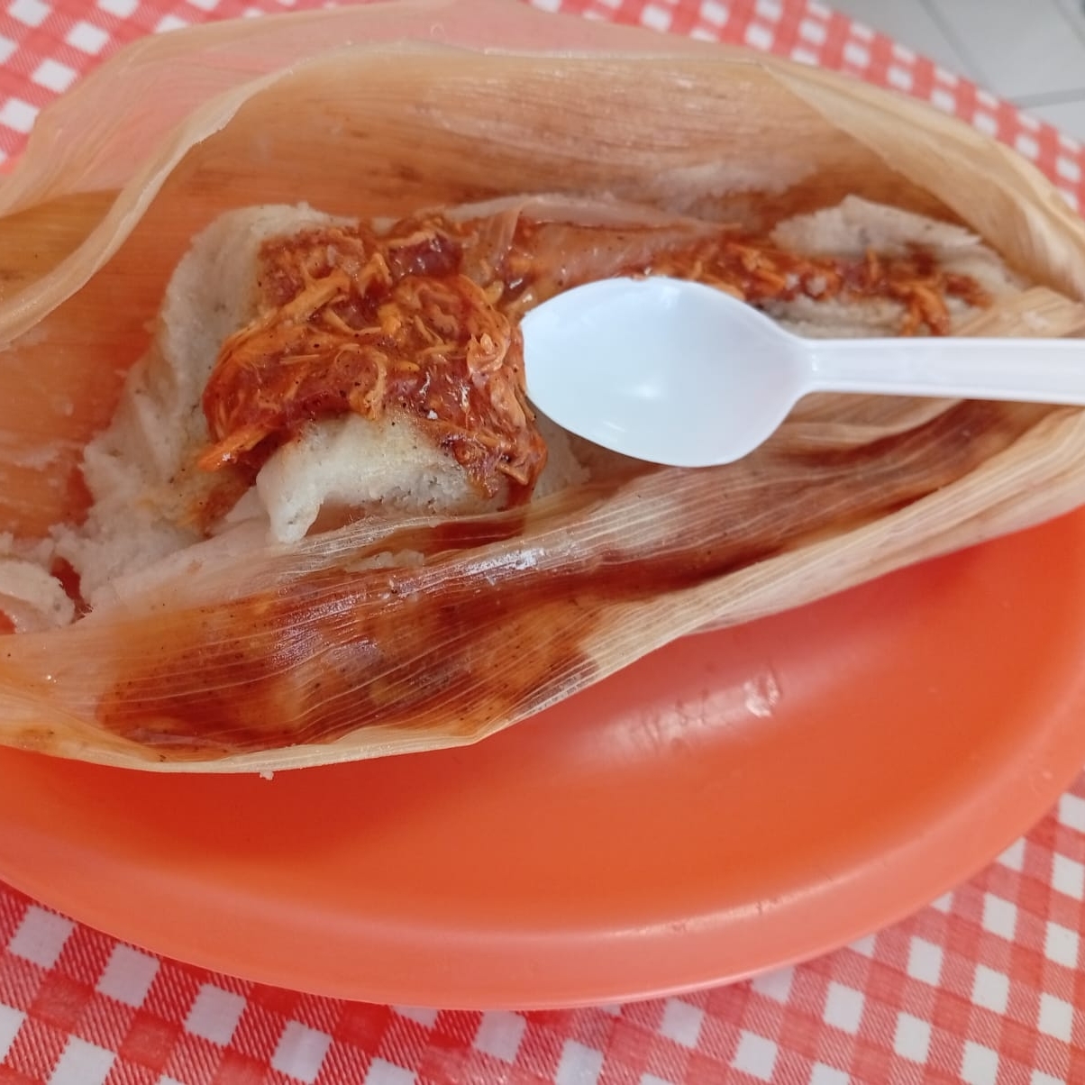 Tamal de Cochinita Pibil