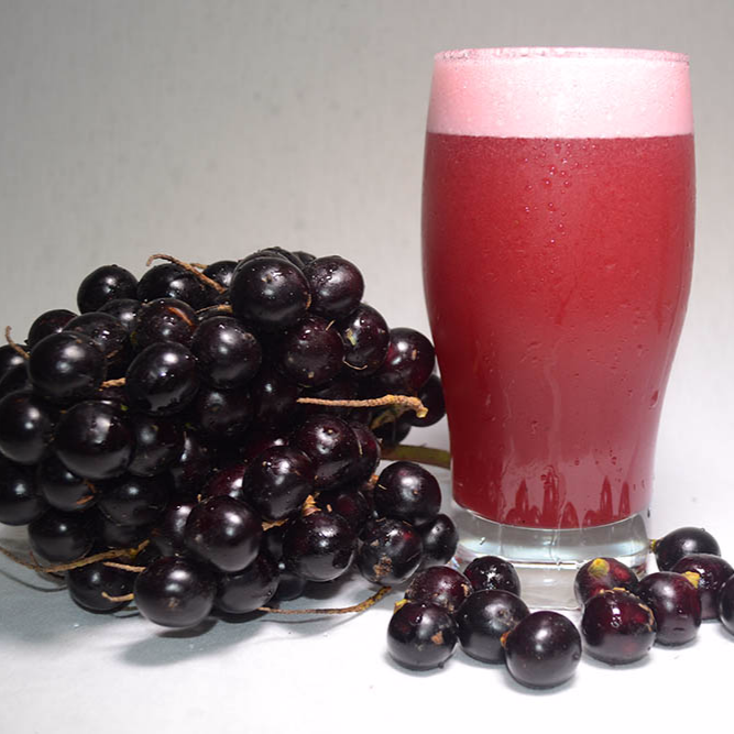 Jugo de corozo 400ml