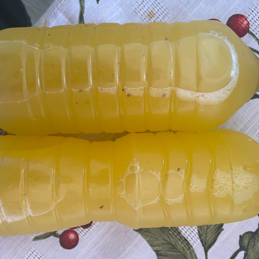 Tepache 100% natural