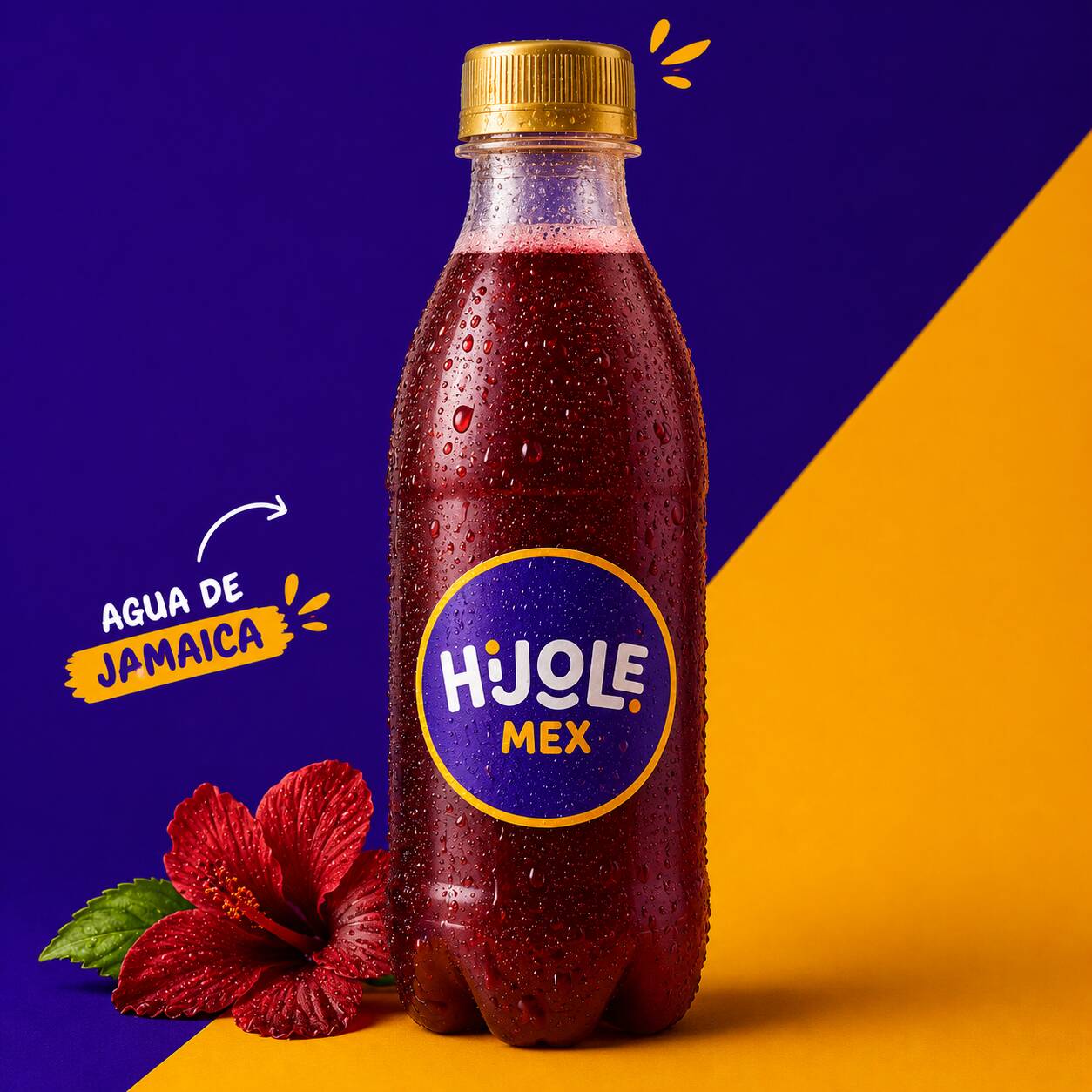 AGUA DE JAMAICA