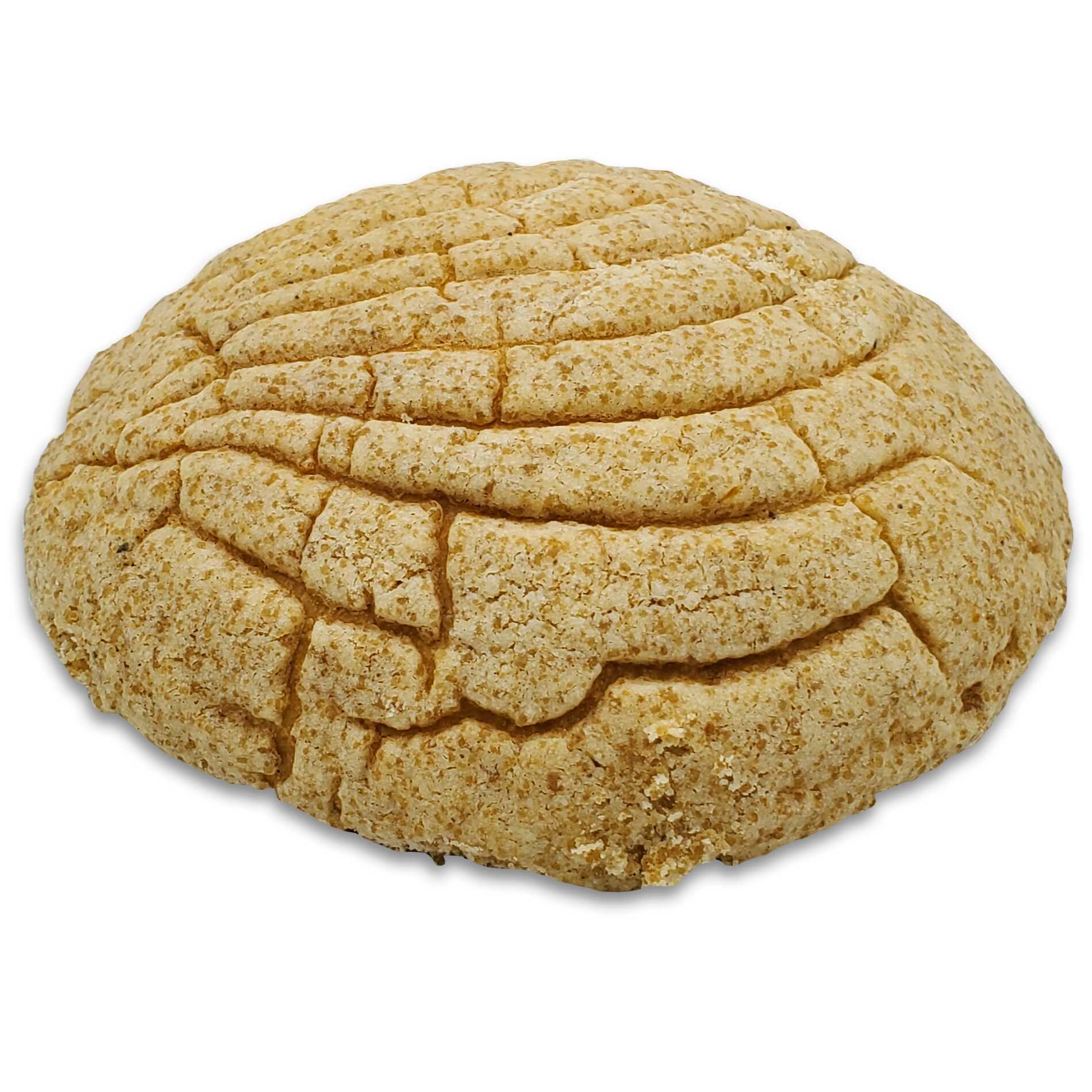 Concha Blanca - Vegano