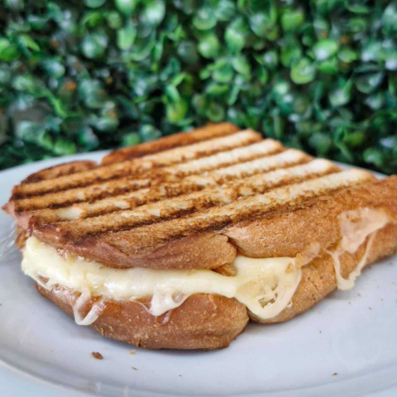 pão fatiado, queijo, presunto e tomate