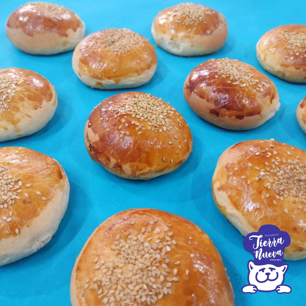 Bollitos de Queso Philadelphia