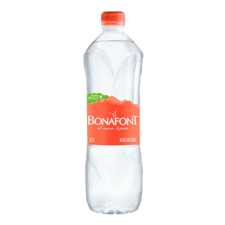 Agua embotellada 1 lt