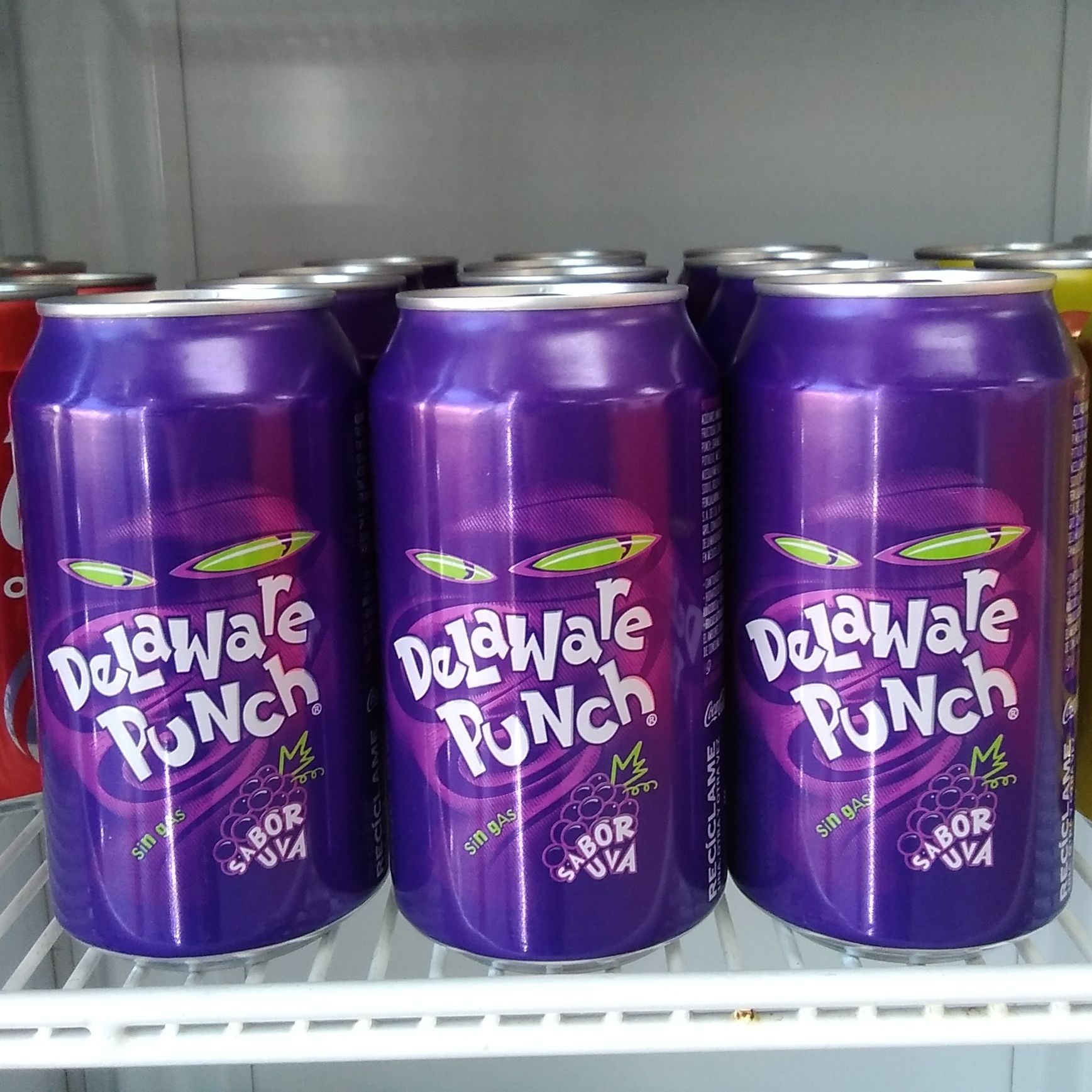 Delaware Punch Lata 355ml