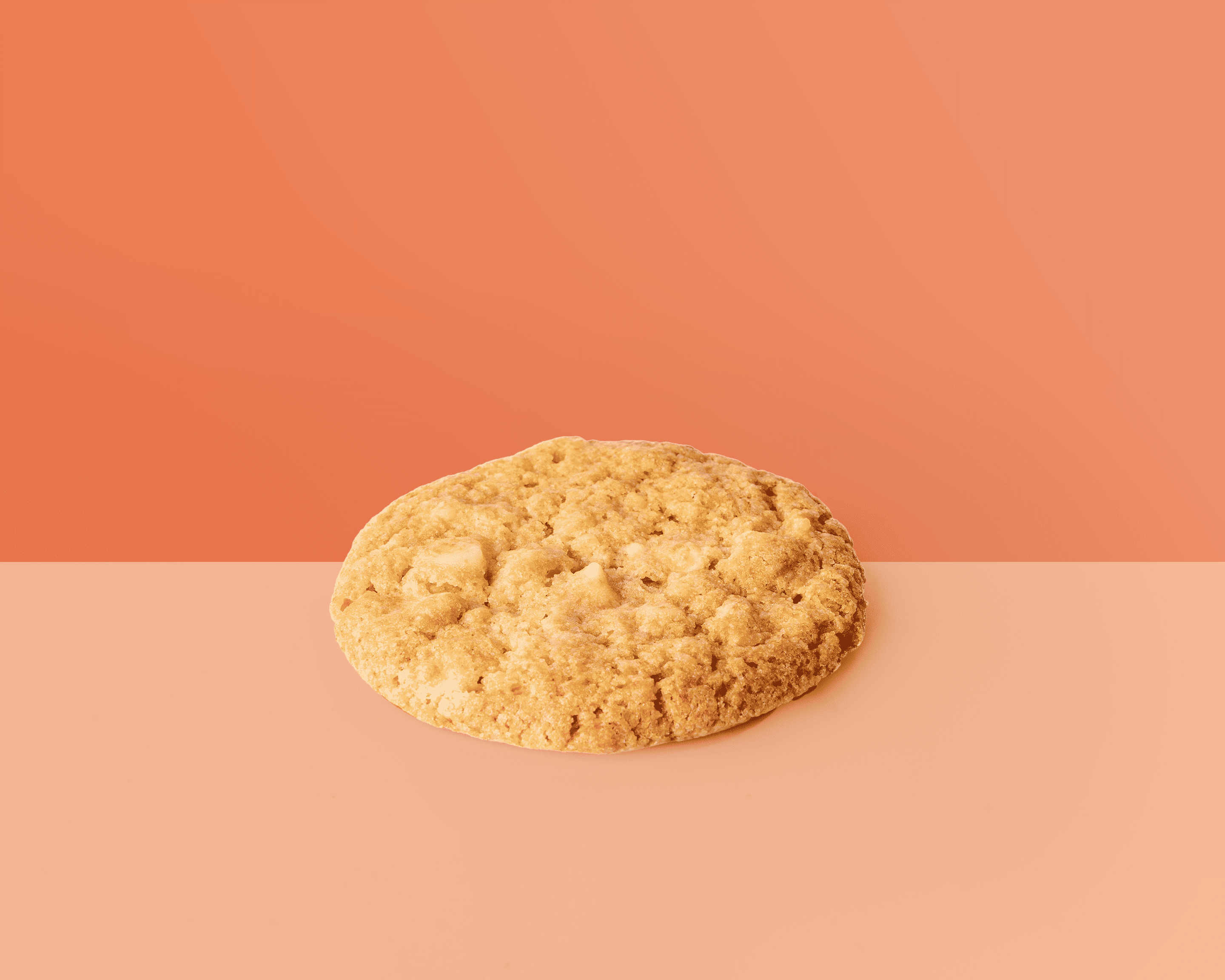 Galleta Chocolate Blanco