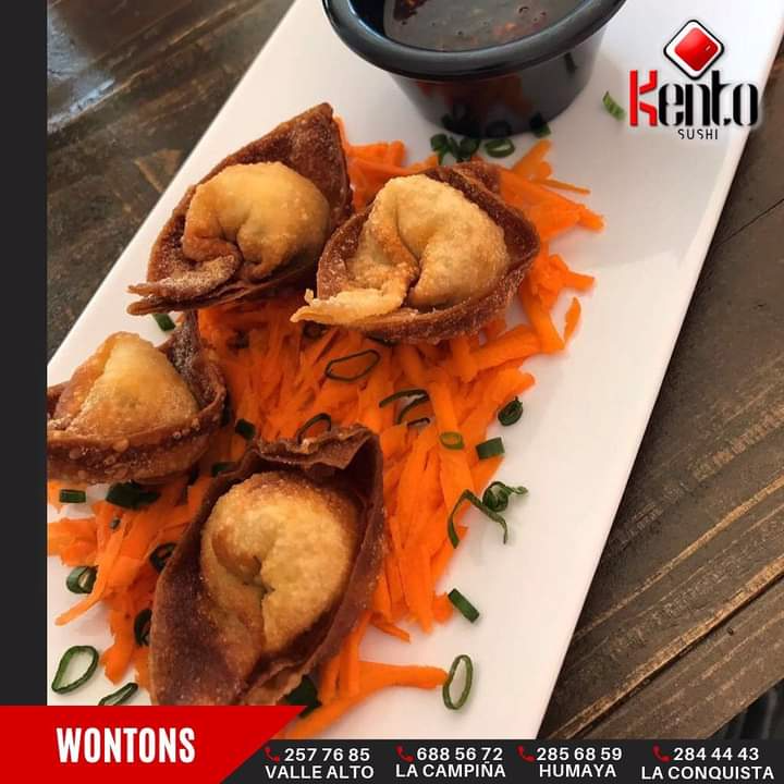 Wontons