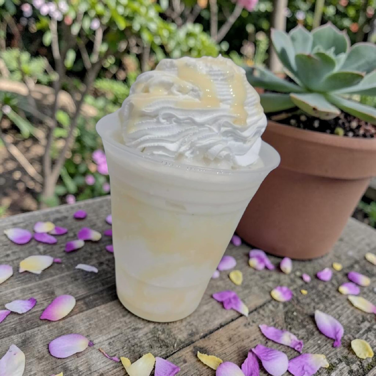 Frappé Lechera