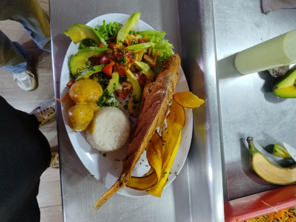 Portal Marino express