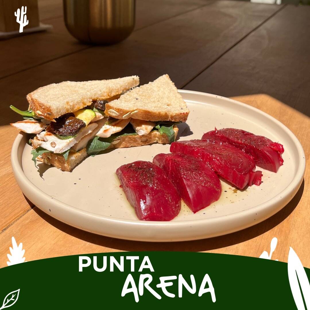 Punta Arena