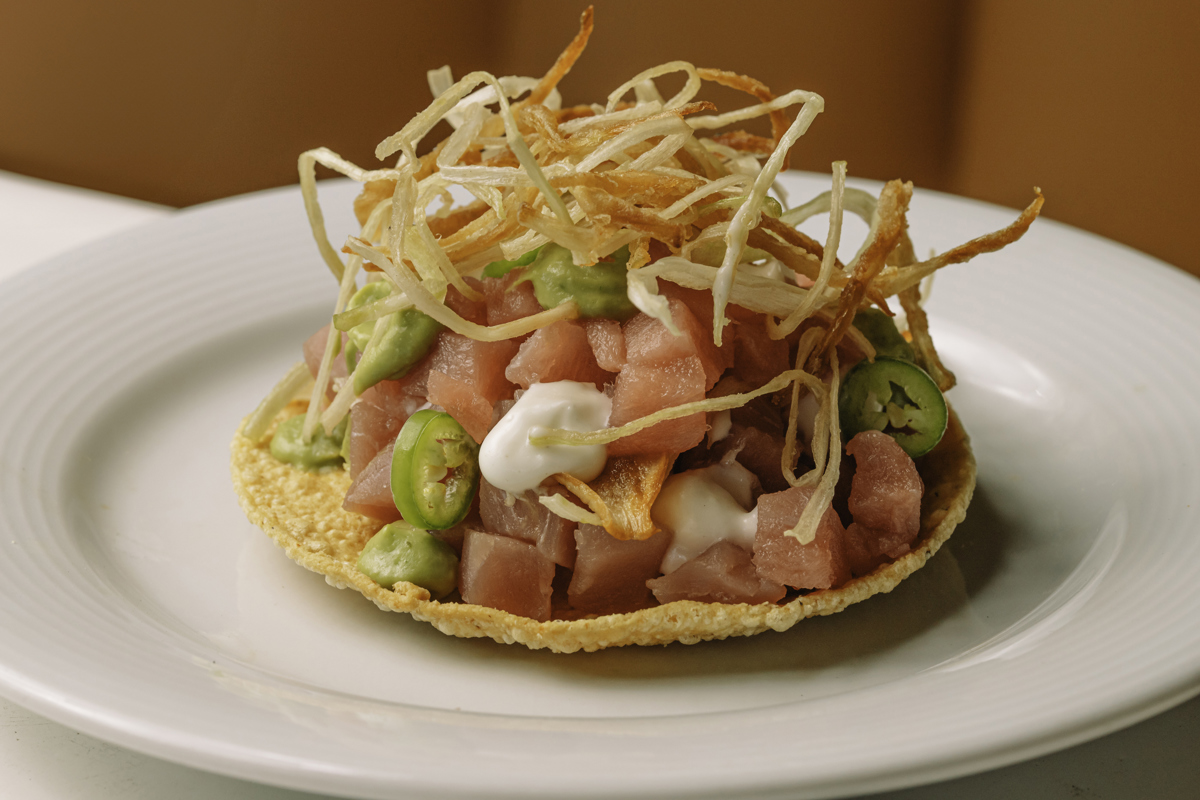TOSTADA ATUN