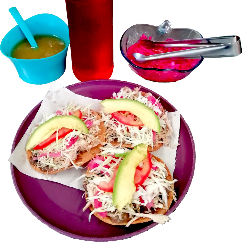 TOSTADAS Pavo Natural