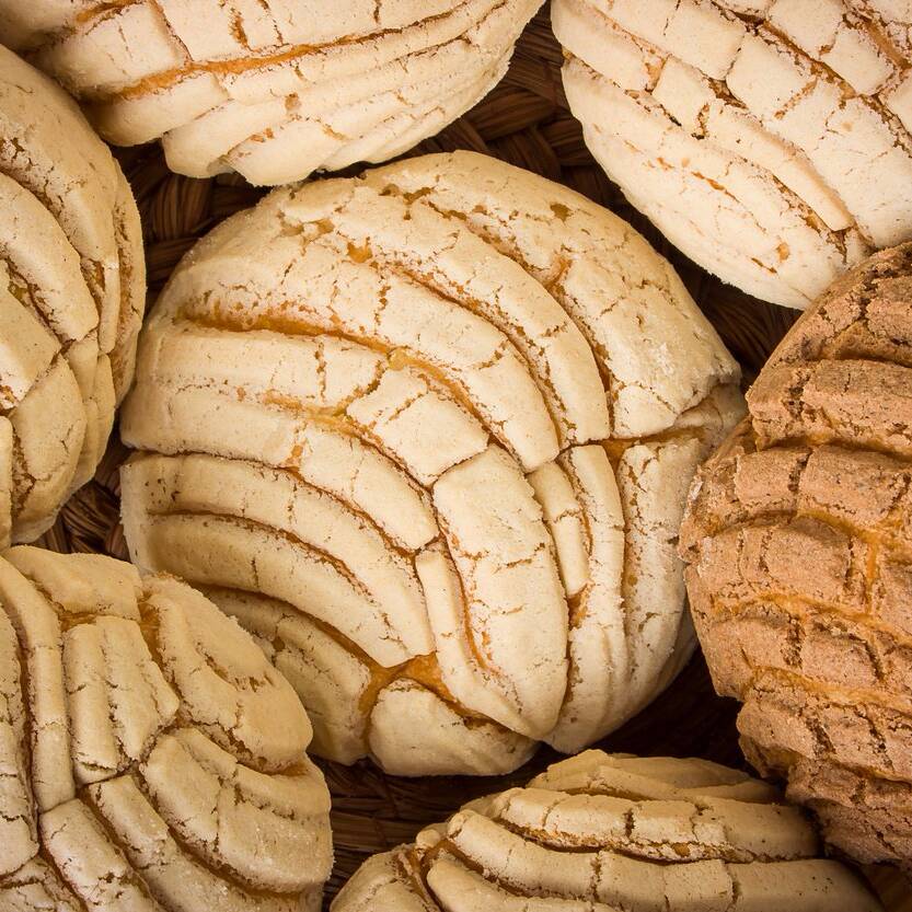 Conchas