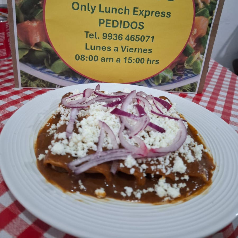 ENCHILADAS CON MOLE CASERO (ORDEN DE 5)
