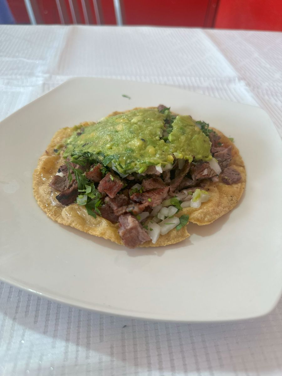 QUESADILLA CARNE ASADA TORTILLA MAIZ