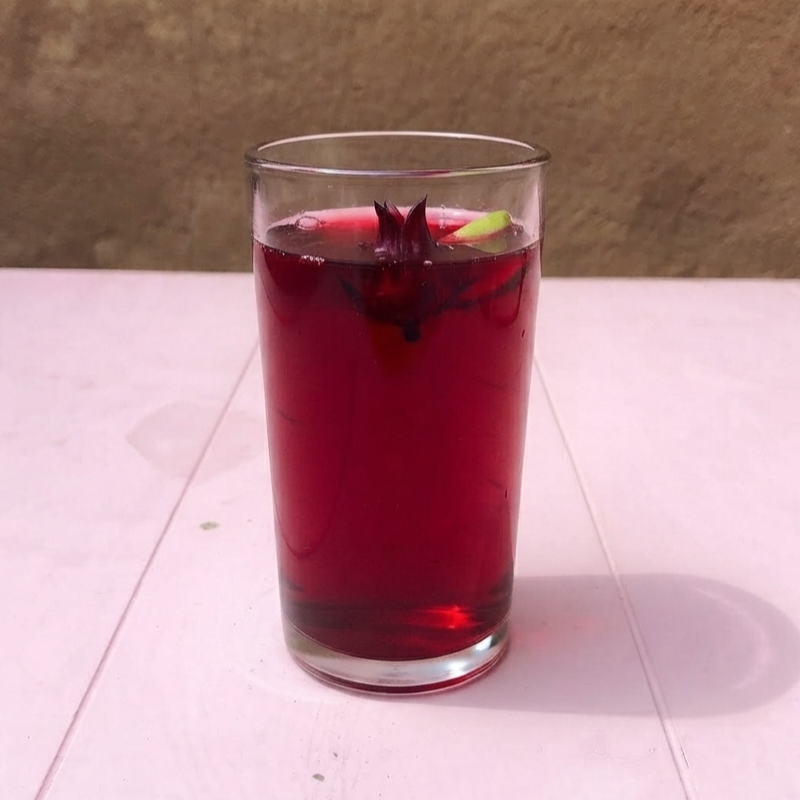 Agua de Jamaica