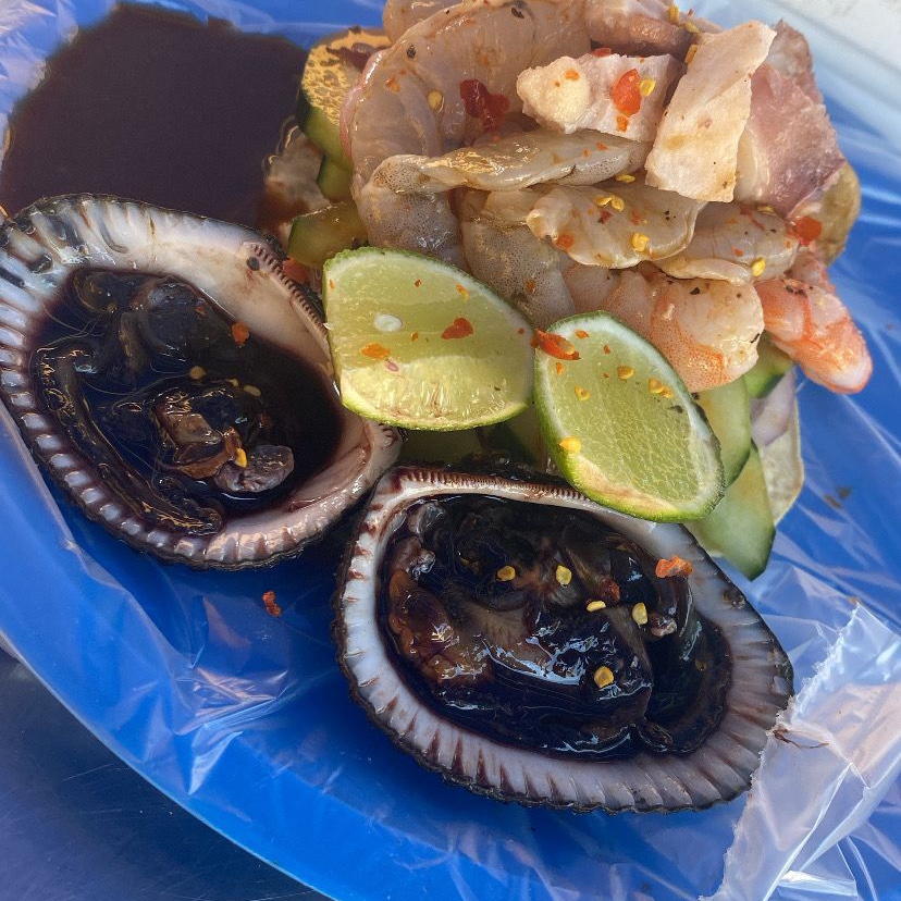 Mixta