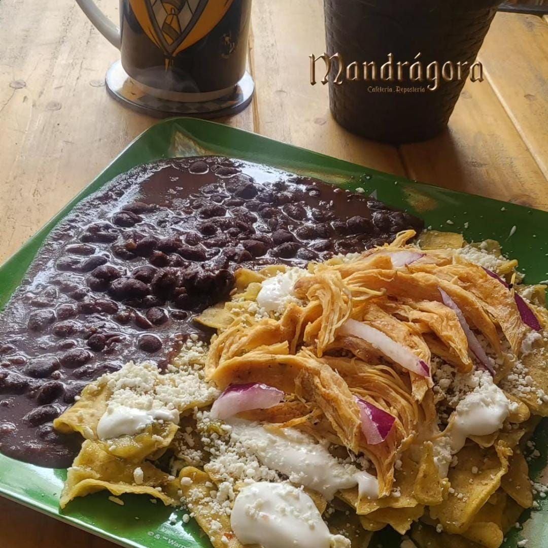 Hagrid (chilaquiles Verdes)