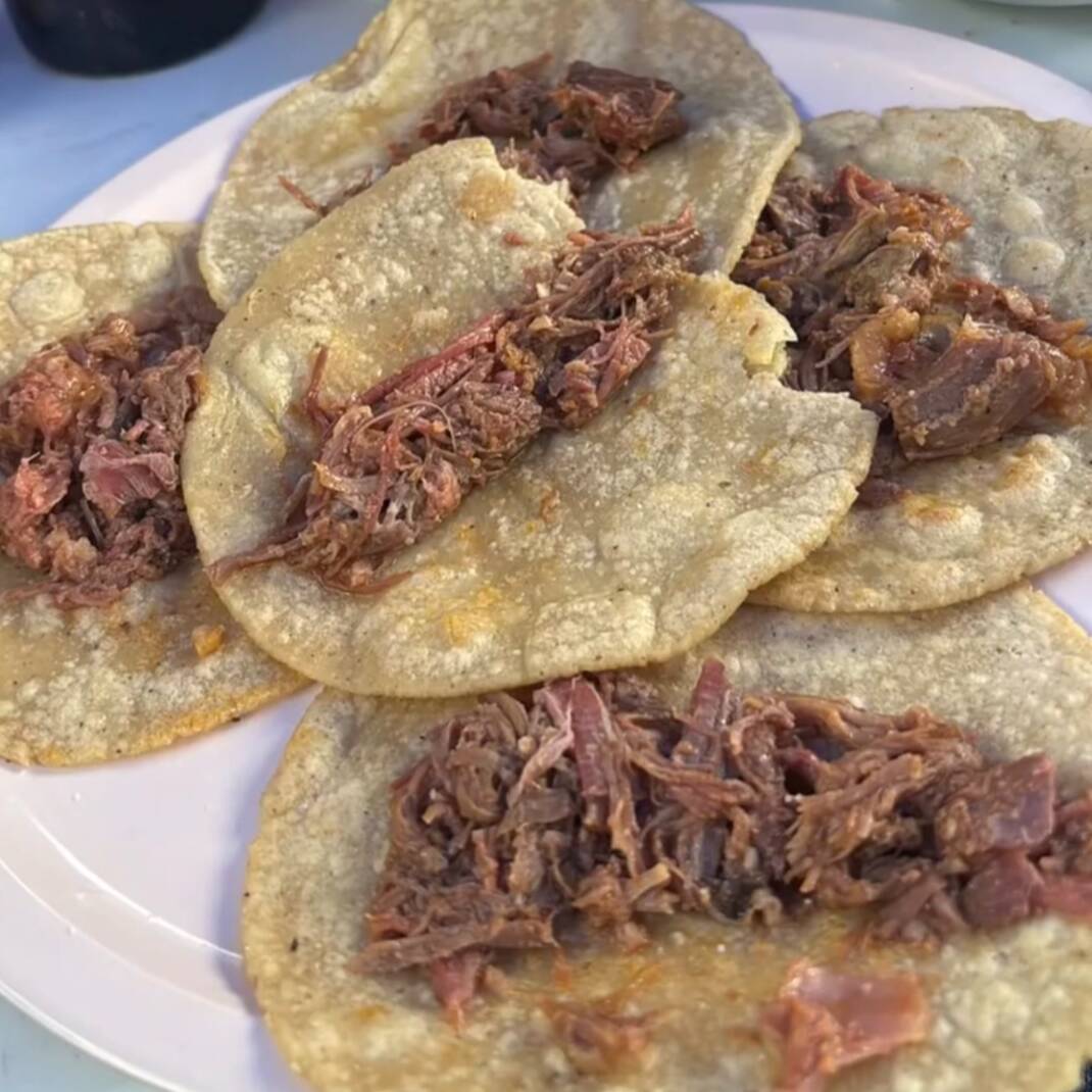 Tacos de barbacoa