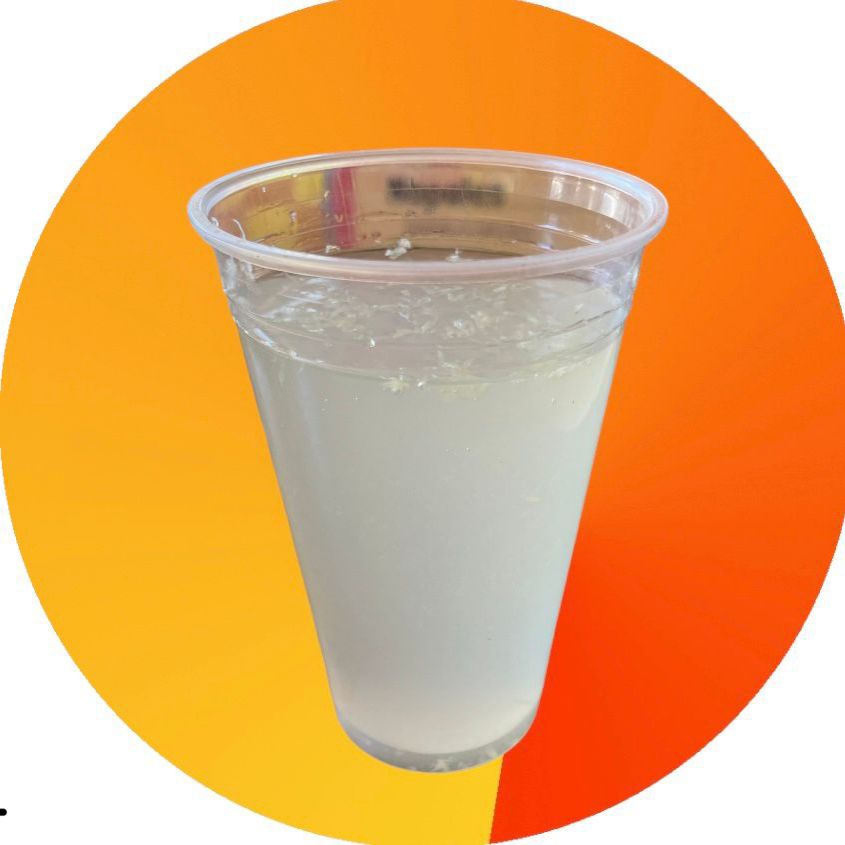 Agua fresca del día 1/2 Ltro.