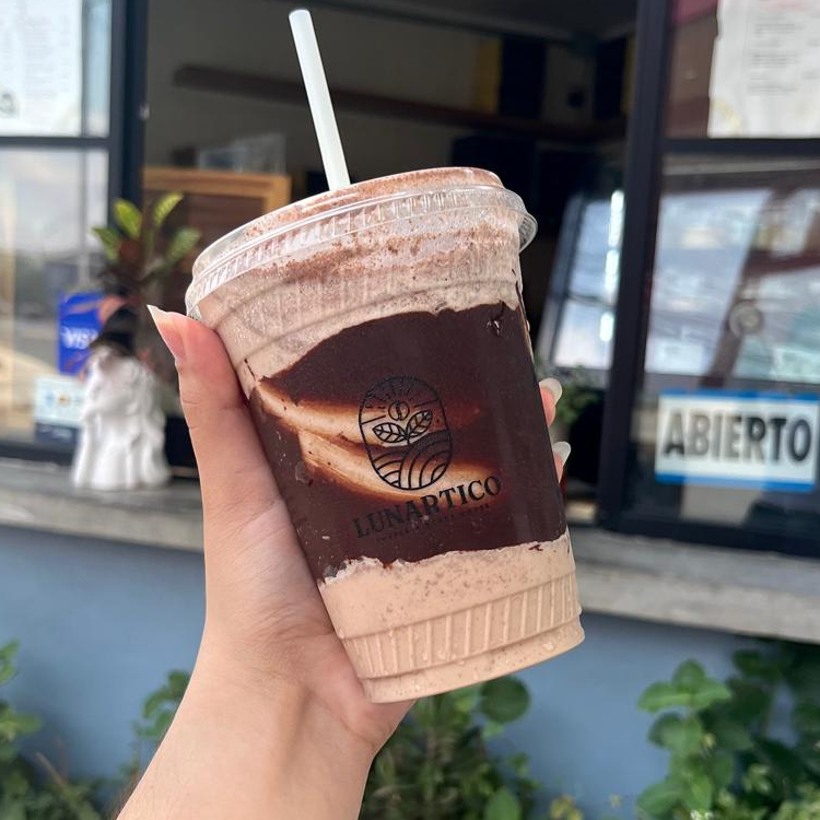 Frappé Mocha Chocolate Chip
