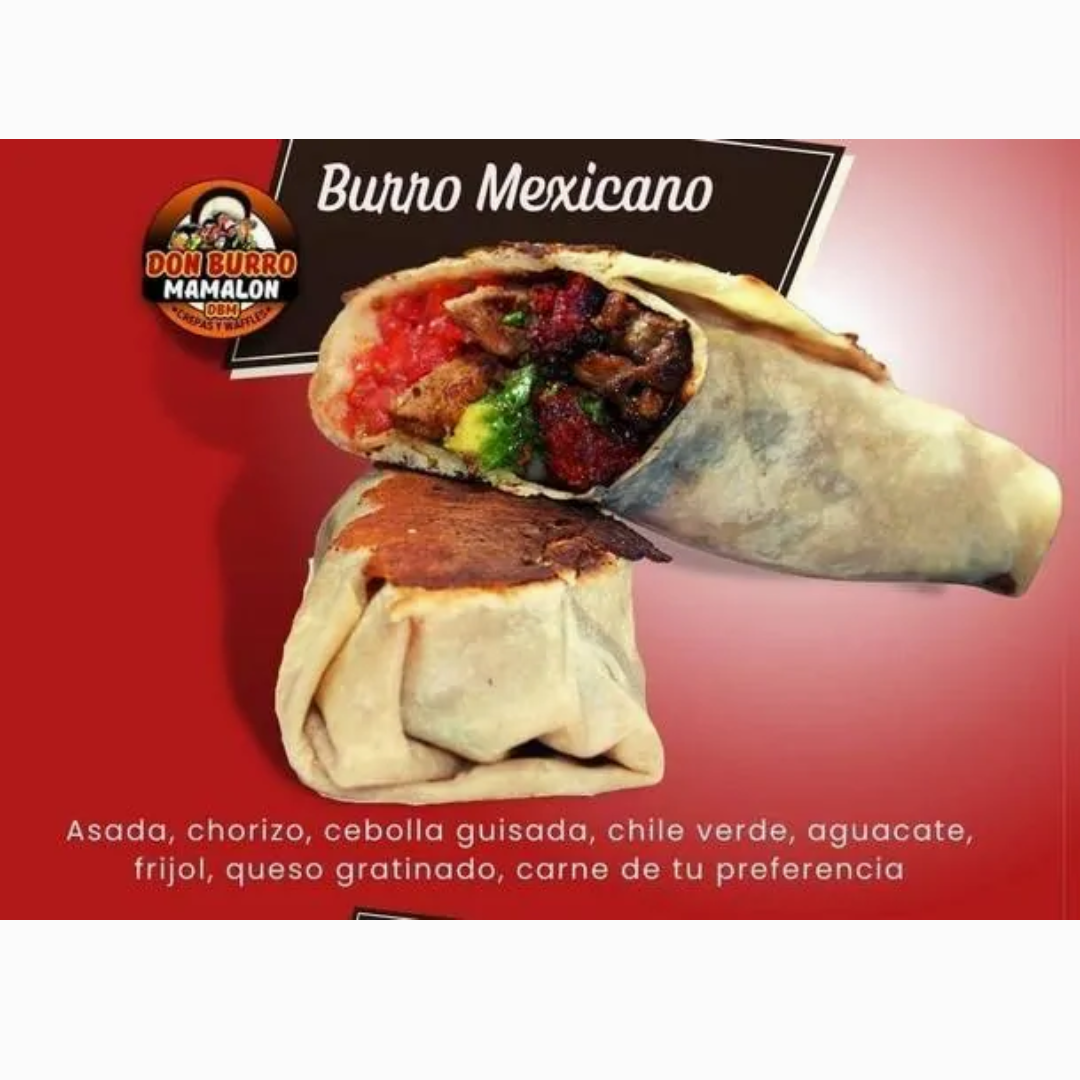Burro Mexicano Mediano