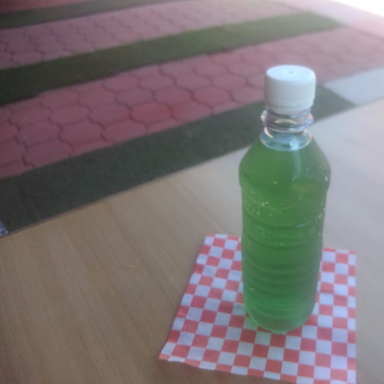 Agua natural con un toque de clorofila y menta
