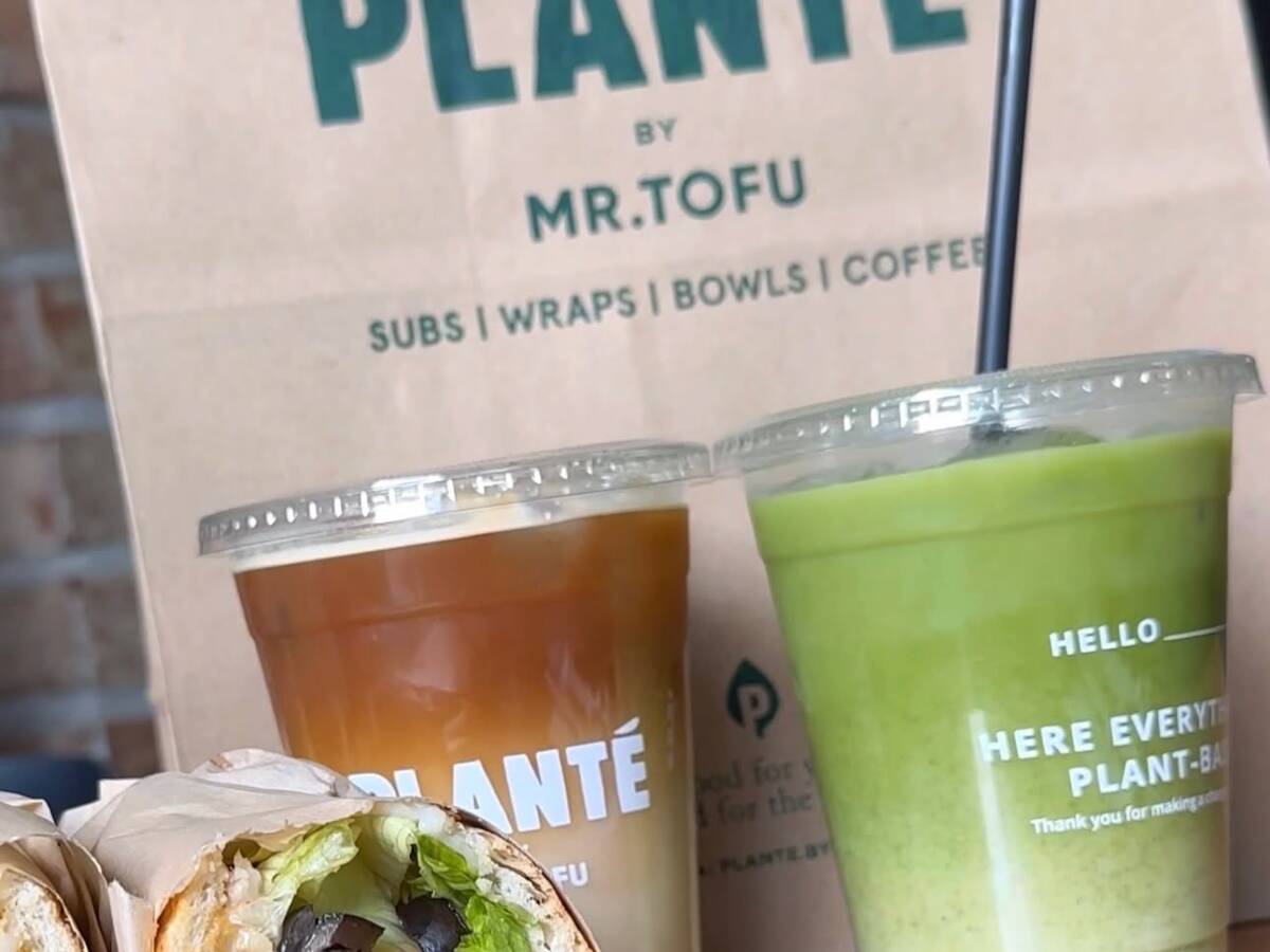 Plante By Mr. Tofu