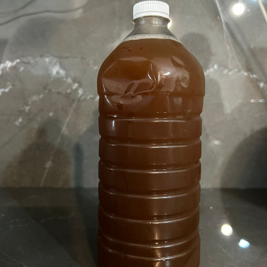 Agua Fresca Grande de Tamarindo