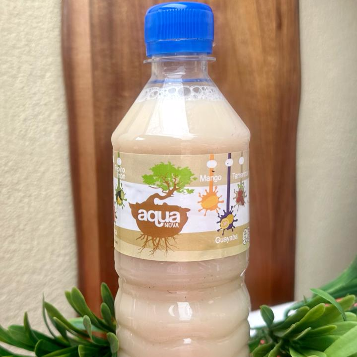 AGUA DE HORCHATA
