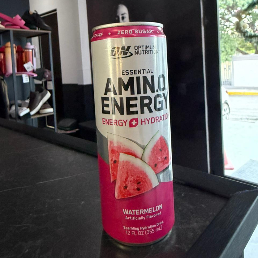 AMINO ENERGY SANDIA