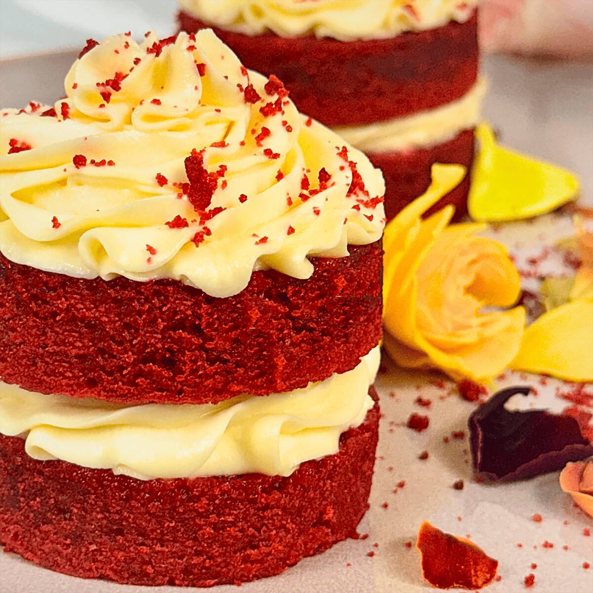 Red Velvet Mini
