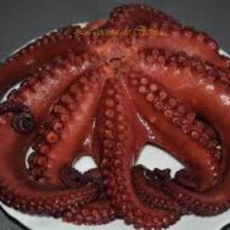 Pulpo Cocido Entero