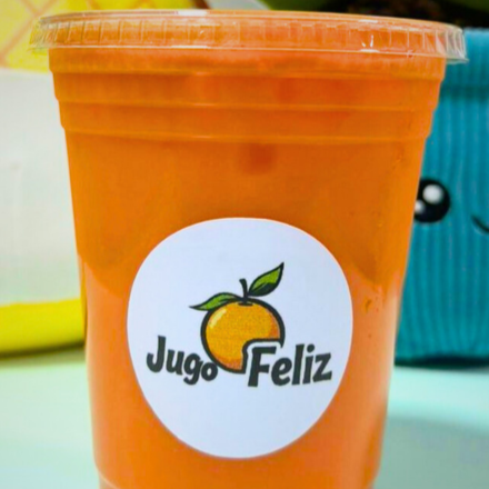 Jugo de Zanahoria 1L