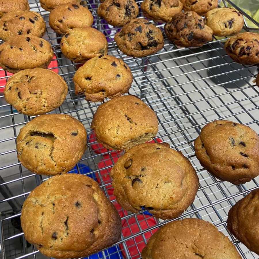 Galleta Nuez con Arandanos