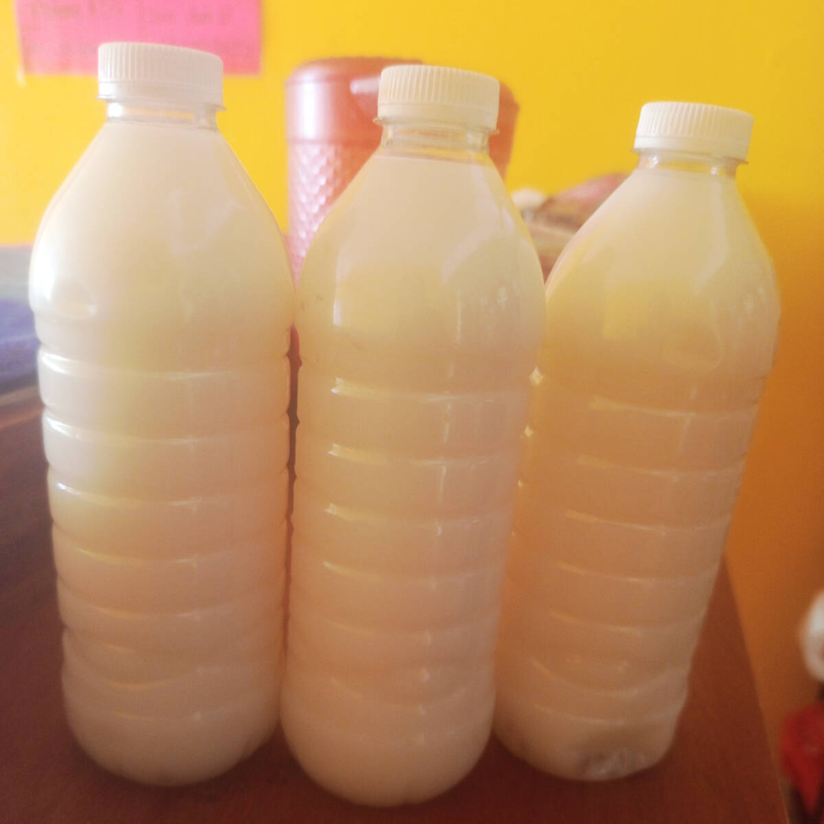 Horchata China