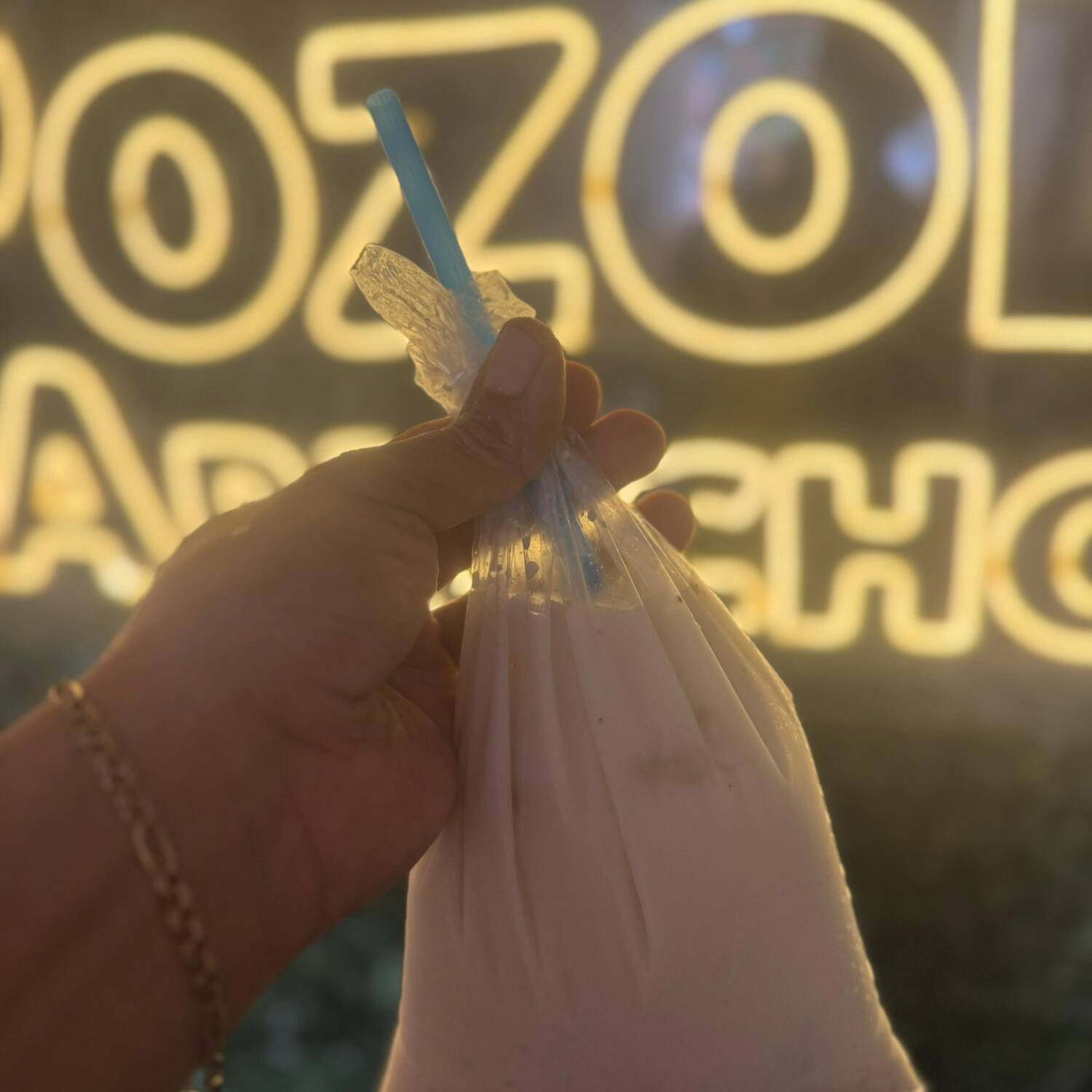 Pozol Blanco (bolsa)