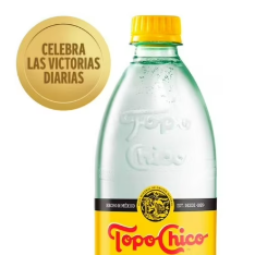 Topochico 600 ml